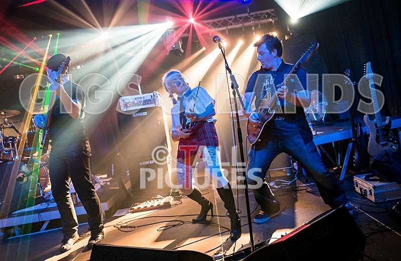 Gallus Cooper-67 - GALLUS COOPER