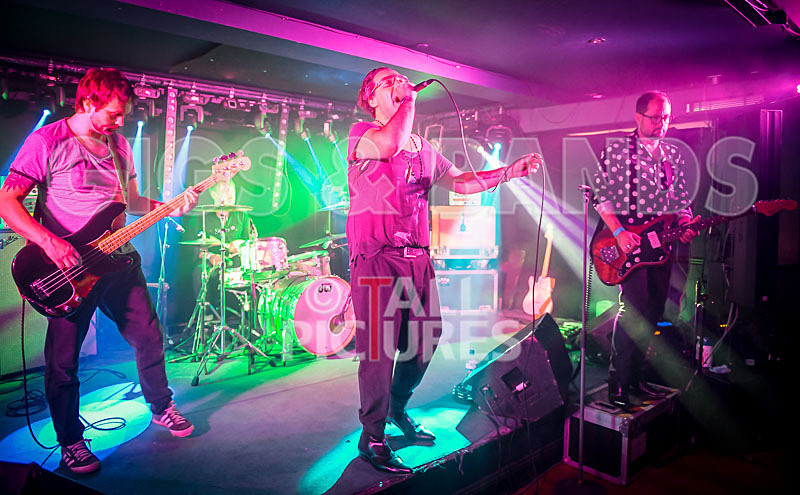 Gay Army-233 - GAY ARMY