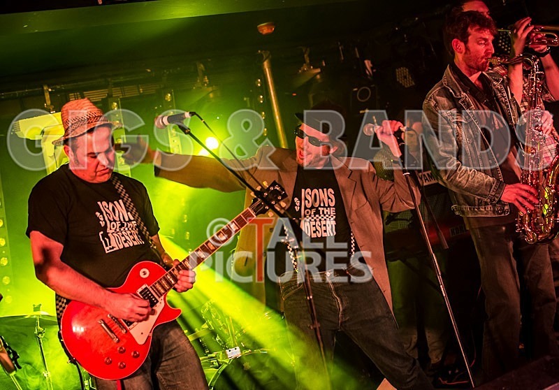 Sons of the Desert-110 - SONS OF THE DESERT