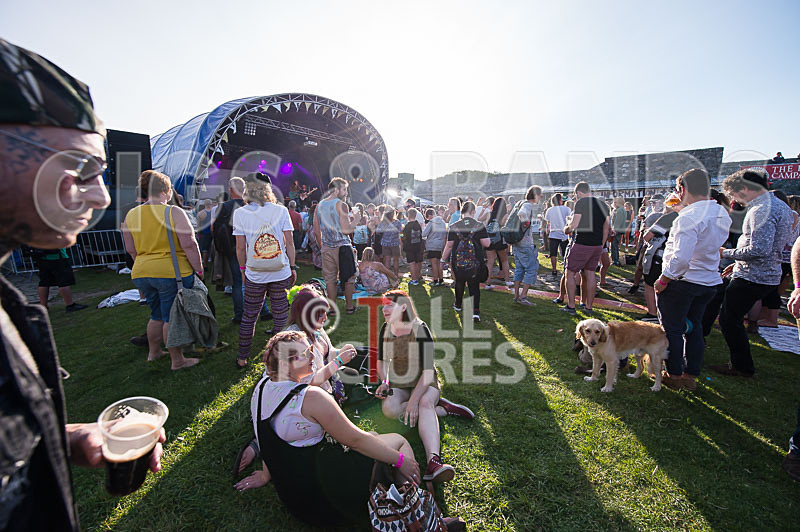 Vale Earth Fair 2017_SCENE-95 - VALE EARTH FAIR 2017_THE SCENE