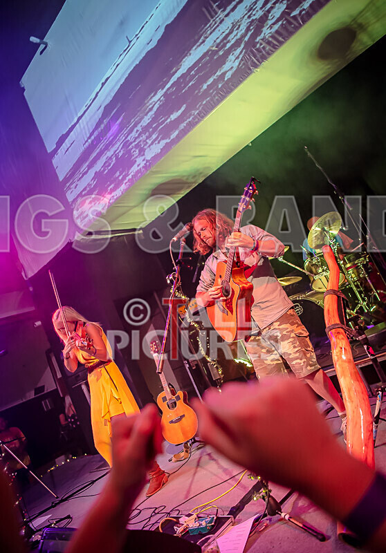 Buffalo Huddleston-630 - BUFFALO HUDDLESTON