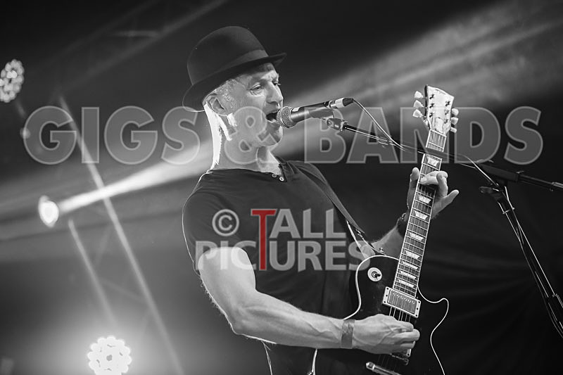 Peppered Ant Legs-225 - PEPPERED ANT LEGS