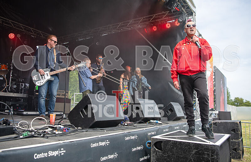 The Nightmares-44 - THE NIGHTMARES