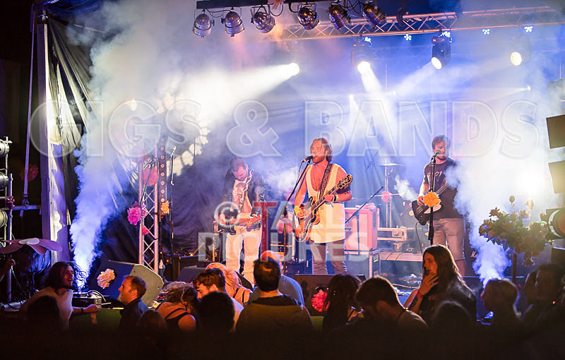 Near Bliss-73 - NEAR BLISS