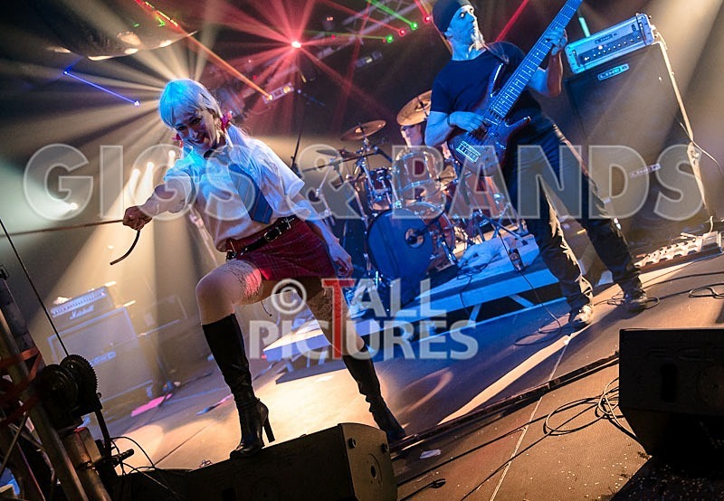 Gallus Cooper-66 - GALLUS COOPER