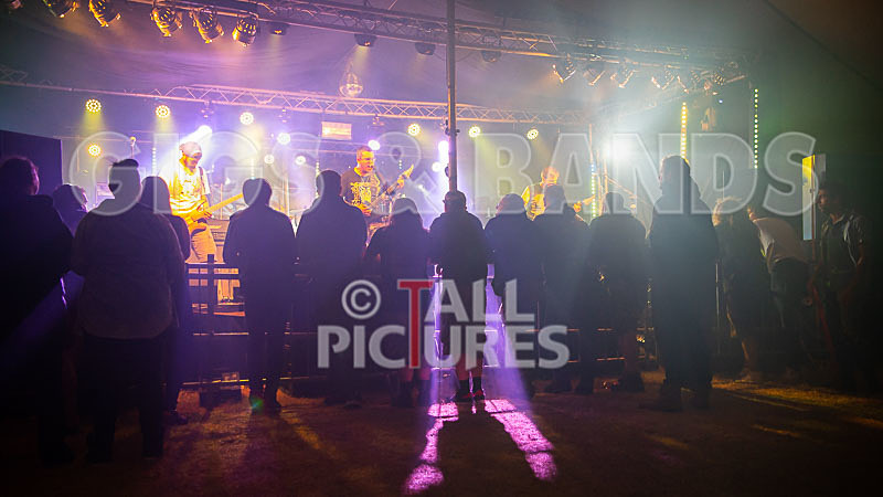 Demise of Sanity-166 - DEMISE OF SANITY