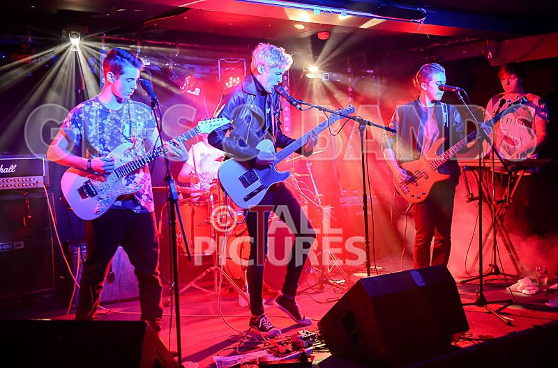 Francisco-2 - FRANCISCO