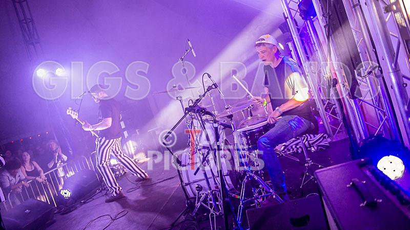 The Smooth Hounds-32 - THE SMOOTH HOUNDS