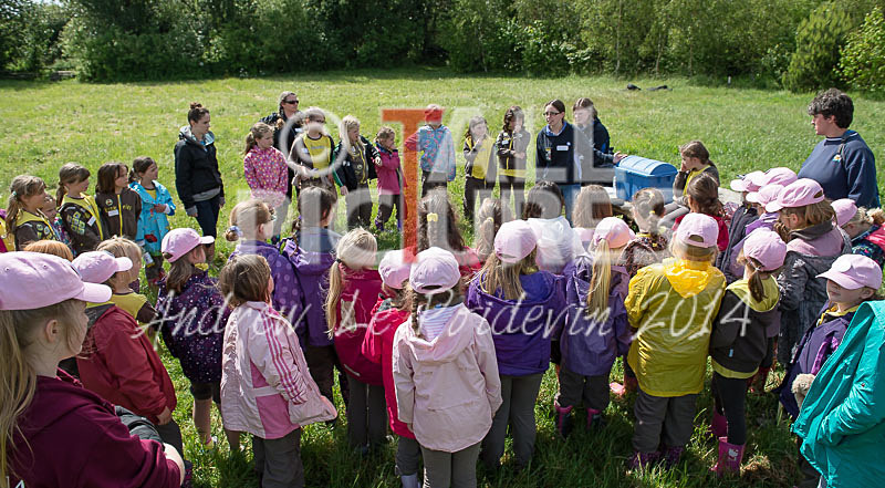 Big Brownie Birthday Party-58 - BROWNIE CENTENARY BROWNIE SLEEPOVER