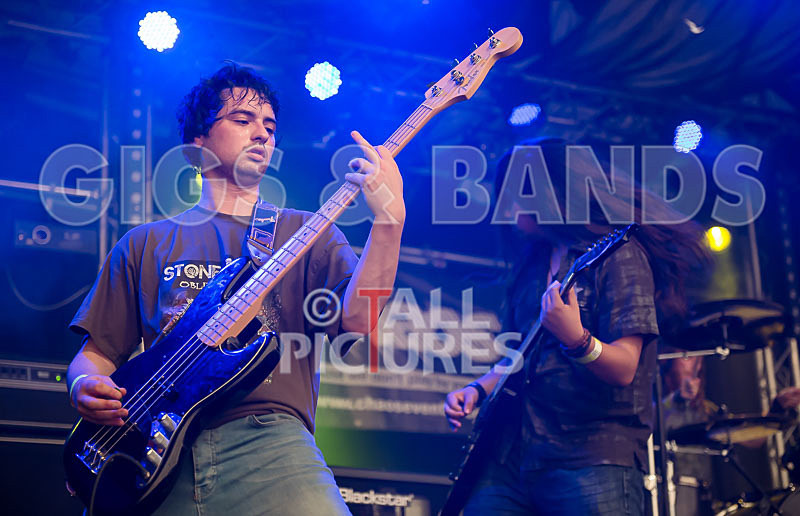 Stone Em All-227 - STONE EM ALL