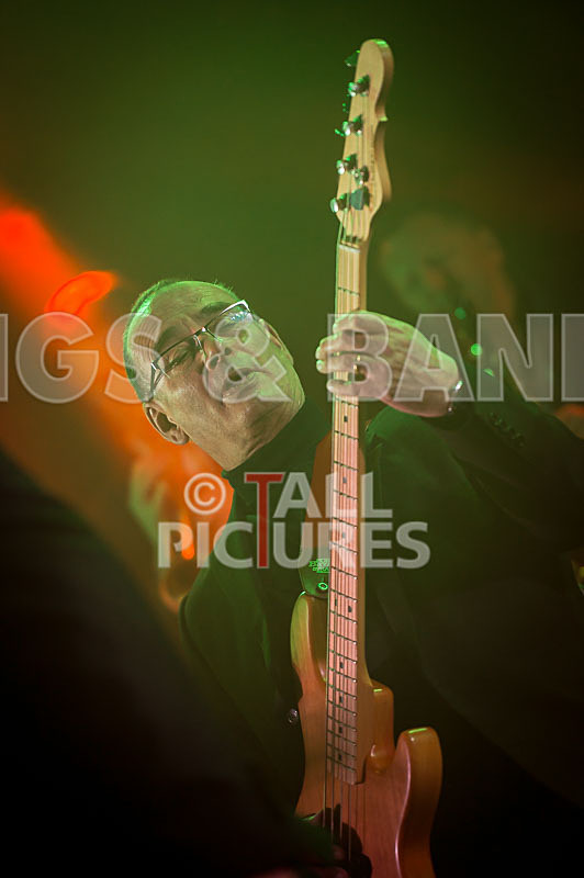 King Rat and the Soul Cats-182 - KING RAT AND THE SOUL CATS