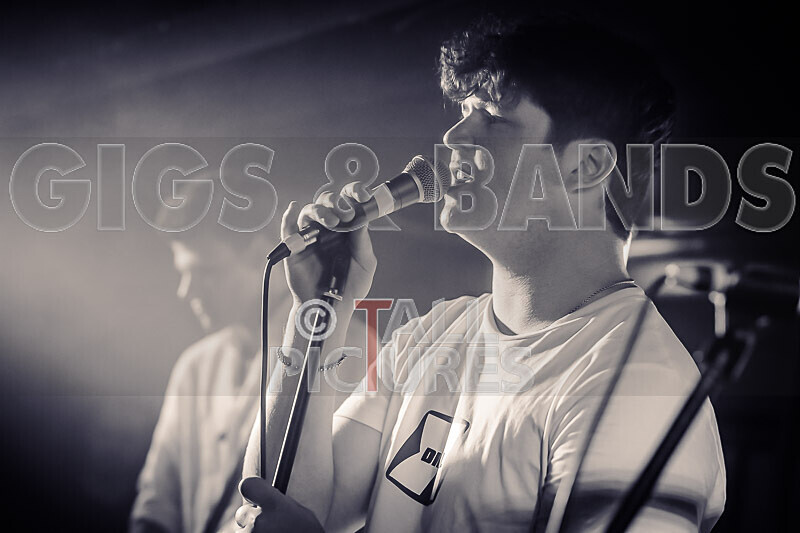 Black Dog-6 - BLACK DOG