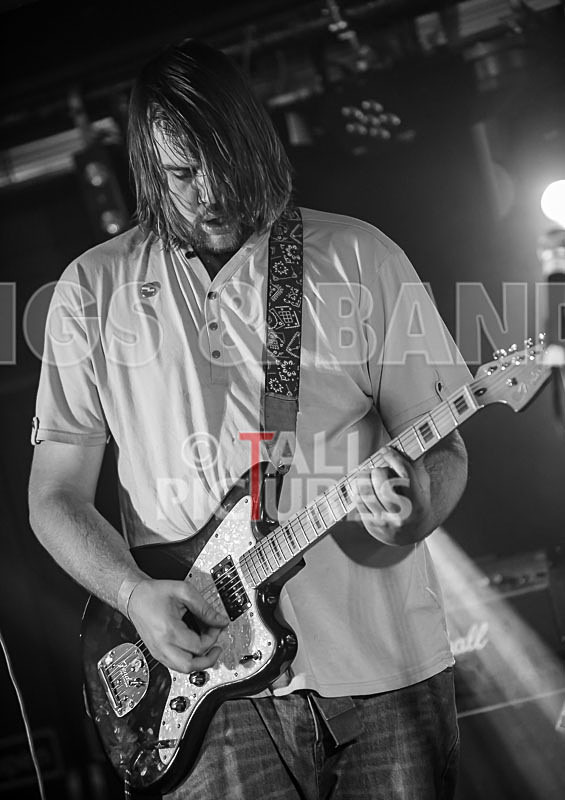 To the Woods-97 - TO THE WOODS