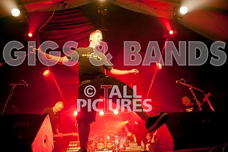 Spunge-50 - [spunge]