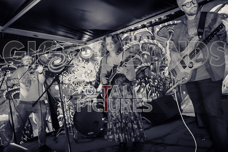 Kiya Ashton and the Folkadelics-15 - KIYA ASHTON AND THE FOLKADELICS