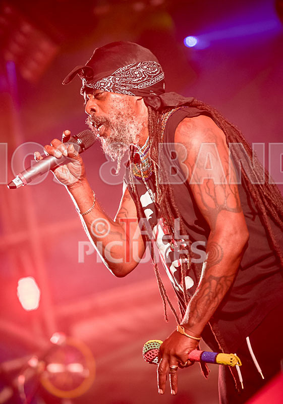 Asian Dub Foundation-4 - ASIAN DUB FOUNDATION