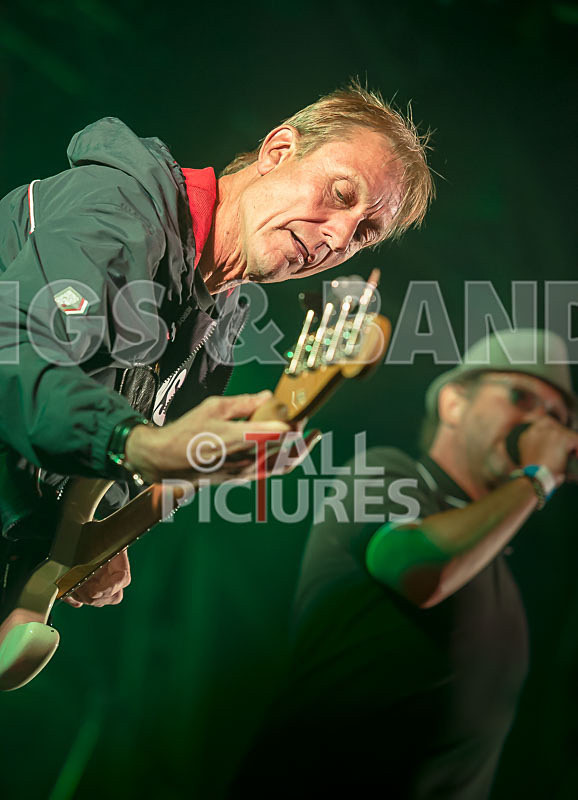 Sons of the Desert-349 - SONS OF THE DESERT