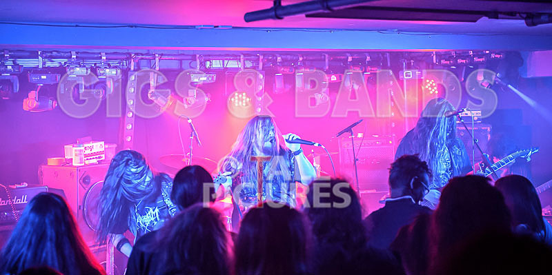 Stone Em All-212 - STONE EM ALL