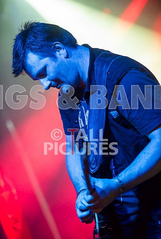 Gallus Cooper-20 - GALLUS COOPER