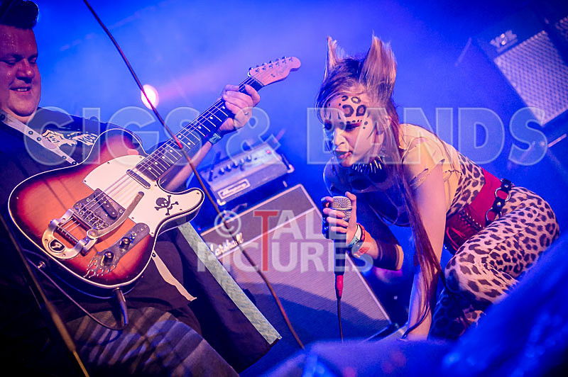 Pussycat and the Dirty Johnsons-68 - PUSSYCAT AND THE DIRTY JOHNSONS