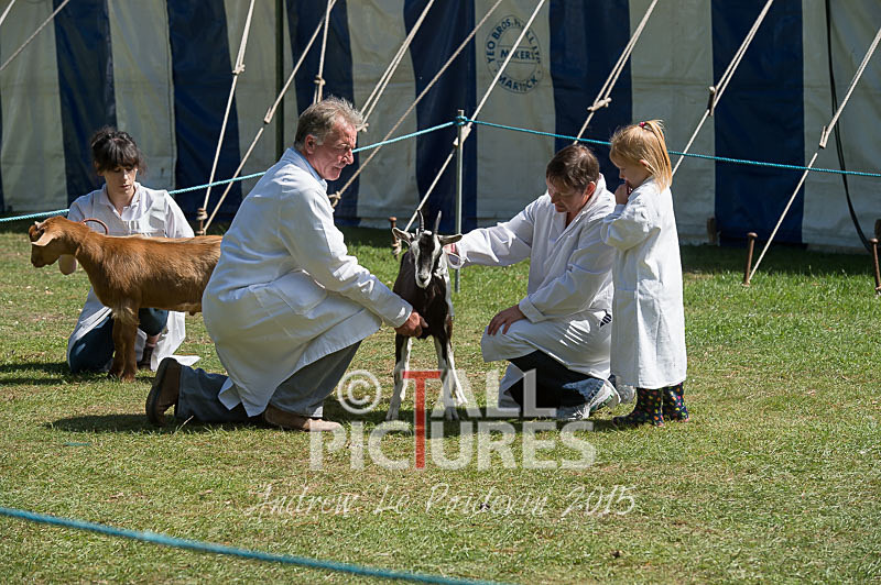 North Show_2014-21 - NORTH SHOW 2014