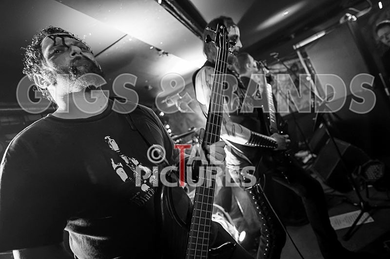 Darker Shores-68 - DARKER SHORES