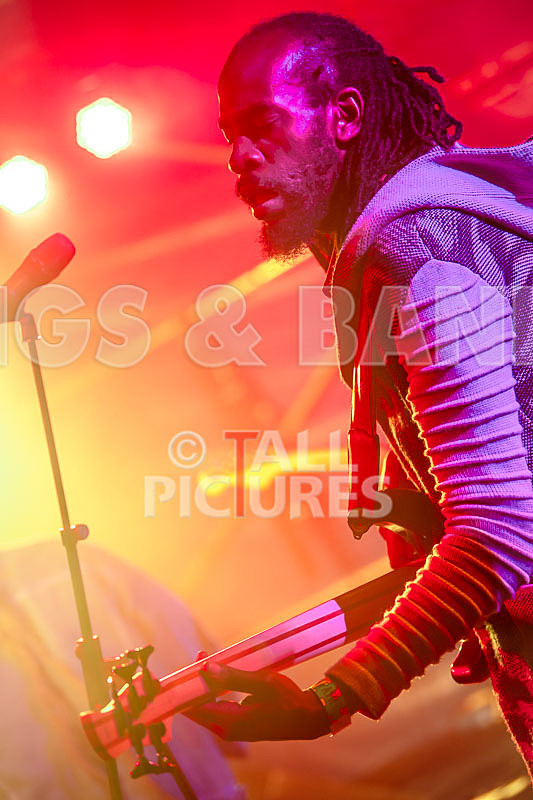 Johnny Clarke and Dub Asante featuring Matic Horns-17 - JONNY CLARKE AND THE DUB ASANTE