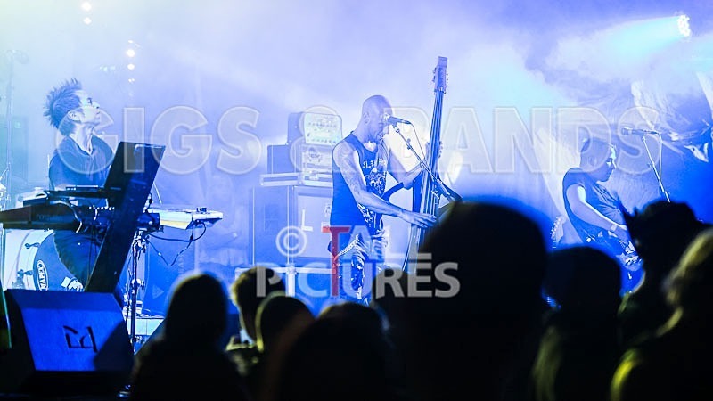 Subsource-20 - SUBSOURCE