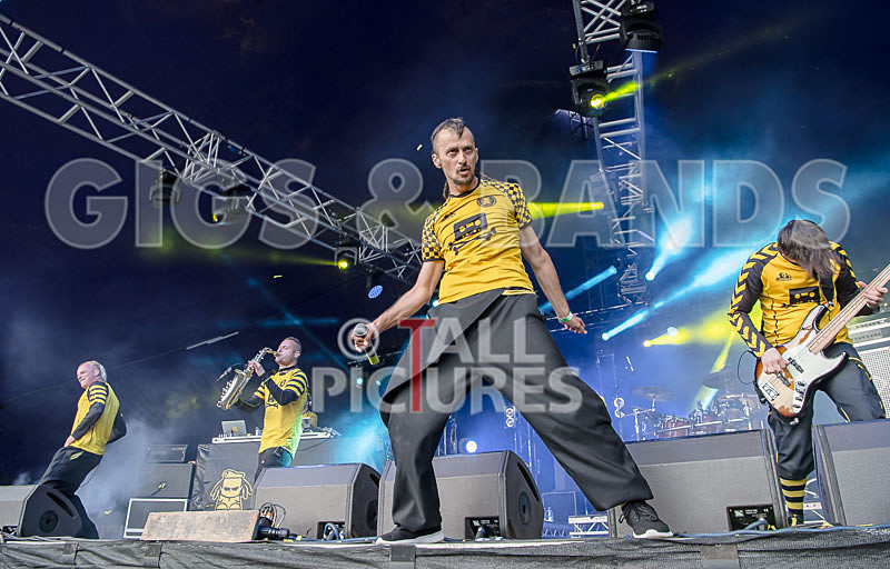 Dubioza Kolektiv-14 - DUBIOZA KOLEKTIV