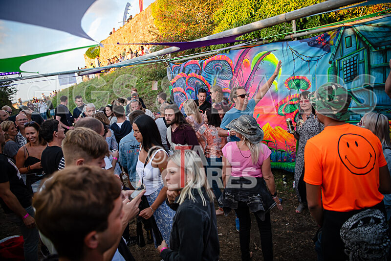 Vale Earth Fair 2020_THE SCENE-124 - VALE EARTH FAIR 2020_THE SCENE