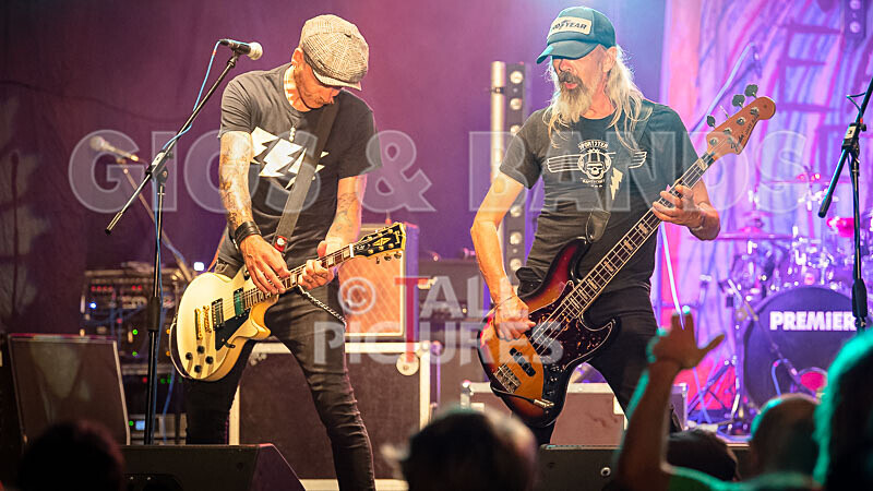 The Electric Shakes-231 - THE ELECTRIC SHAKES