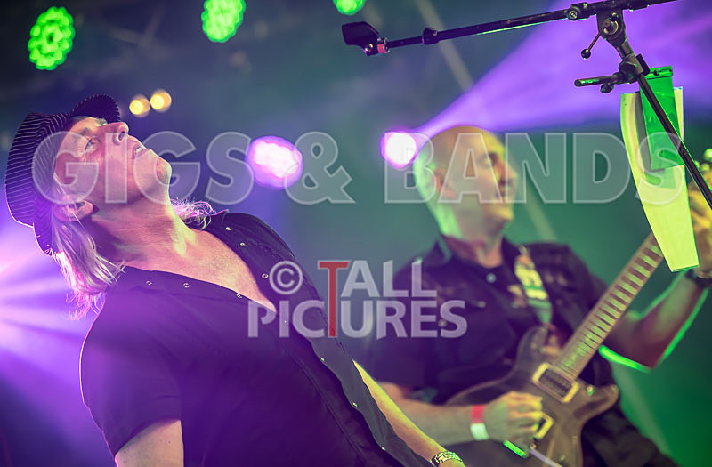 Frail Sincerity-15 - FRAIL SINCERITY