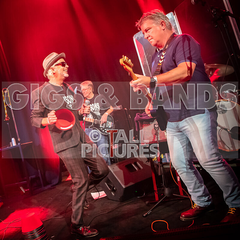 Sons of the Desert-433 - SONS OF THE DESERT