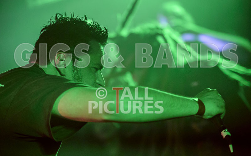 Masticated-19 - MASTICATED