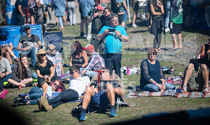 Vale Earth Fair 2020_THE SCENE-112 - VALE EARTH FAIR 2020_THE SCENE