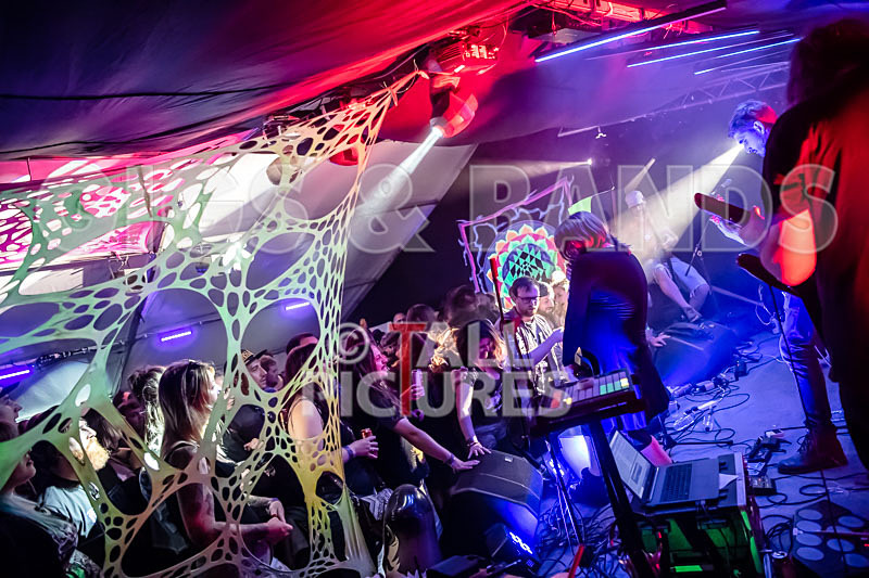 Mechanical Lobster-10 - MECHANICAL LOBSTER