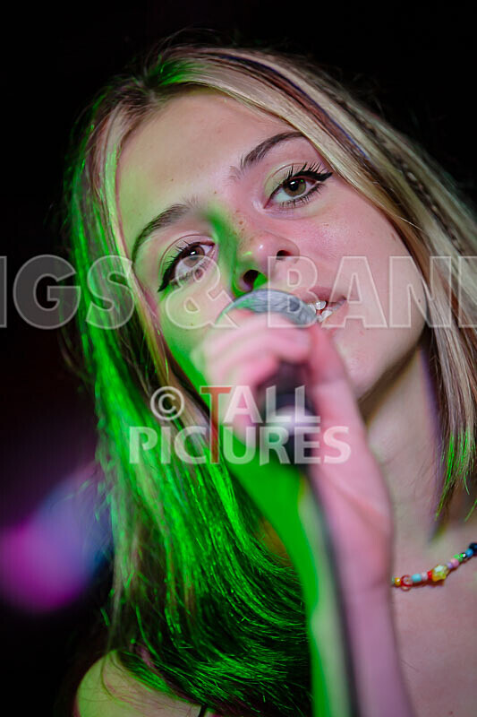 12 Gauge-100 - 12 GAUGE