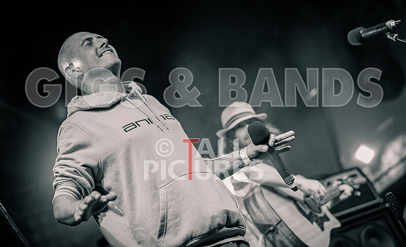 Buffalo Huddleston-656 - BUFFALO HUDDLESTON