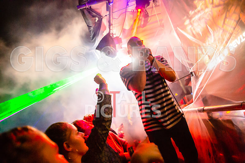 Vale Earth Fair 2018_SCENE-73 - VALE EARTH FAIR 2018_THE SCENE