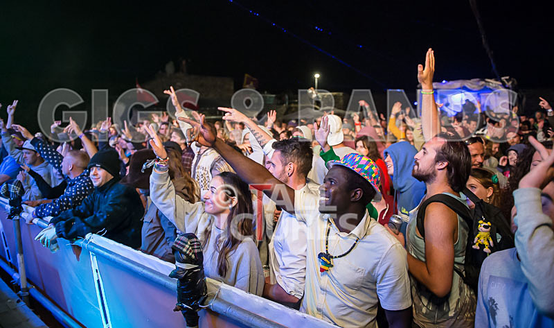 Vale Earth Fair_Atmosphere_2014-7 - VALE EARTH FAIR 2014 - THE ATMOSPHERE