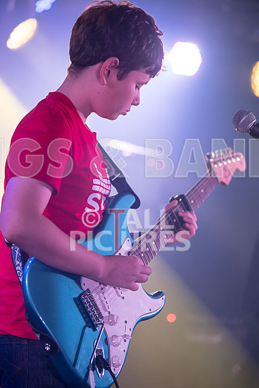 Purple Paradox-18 - PURPLE PARADOX