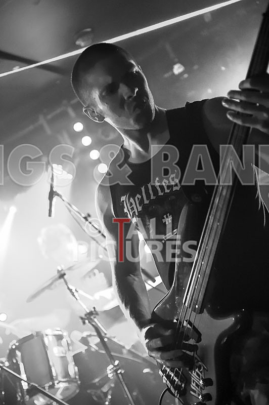 Masticated-32 - MASTICATED