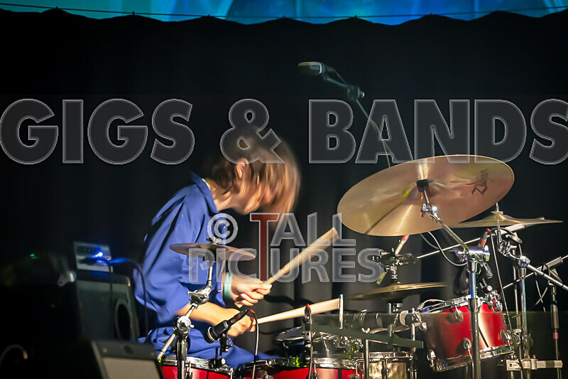 The Pips-116 - THE PIPS