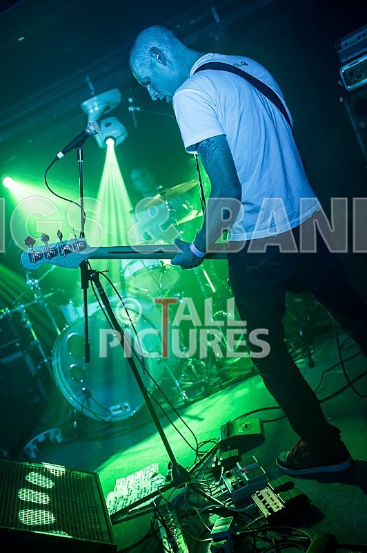 Falenizza Horsepower-90 - FALENIZZAHORSEPOWER