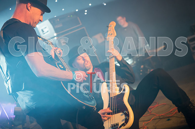 Peppered Ant Legs-170 - PEPPERED ANT LEGS