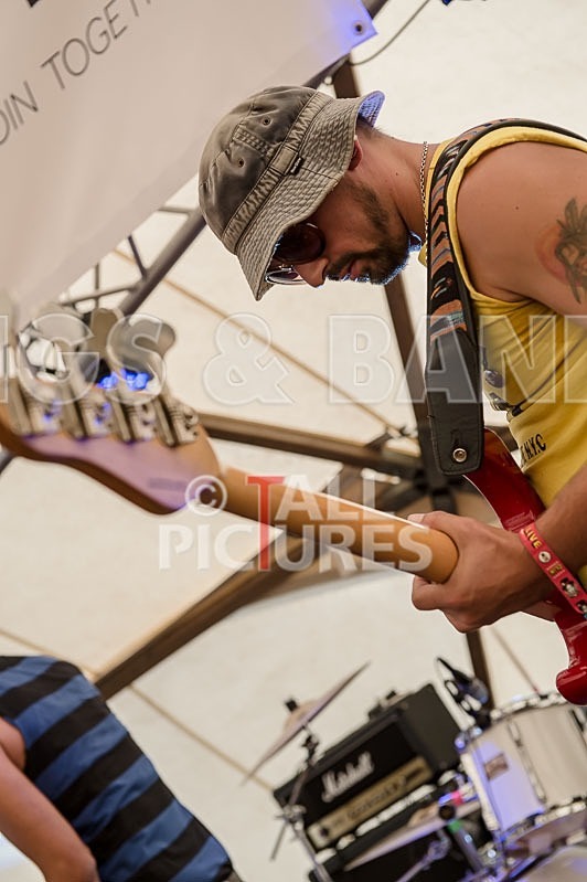 Harlequin Knights-63 - HARLEQUIN KNIGHTS