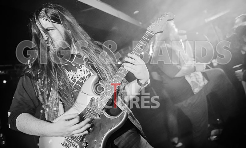 Stone Em All-203 - STONE EM ALL