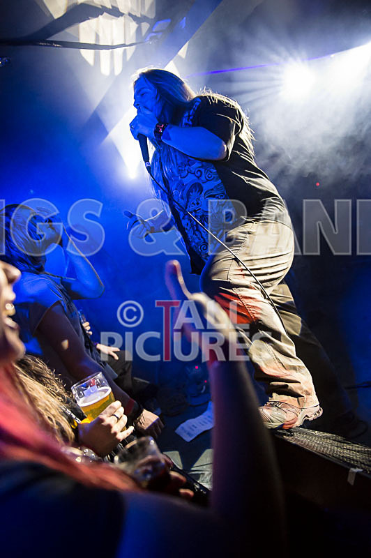 Stone Em All-166 - STONE EM ALL