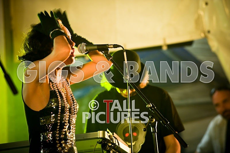 Vale-Earth-93 - VALE EARTH FAIR 2008