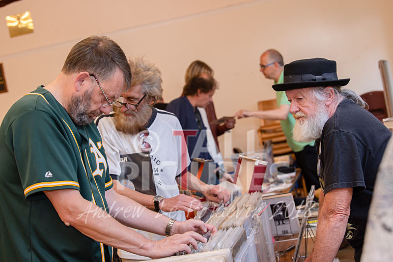 VEF Record Fair_03-06-2018-6 - VALE EARTH FAIR RECORD FAIR 2018